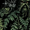 Saga of the Swamp Thing Book Four