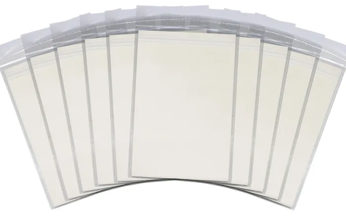 Silver Size Resealable Comic Bags (10)