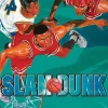 Slam Dunk, Vol. 14