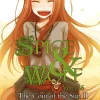 Spice and Wolf, Vol. 16 - Novel: The Coin of the Sun II