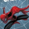 Spider-man: Amazing Origins
