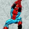 Spider-man Newspaper Strips -volume 1