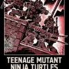 Teenage Mutant Ninja Turtles: The Mirage Years 1984-1987--IDW Classic Collections