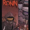 Teenage Mutant Ninja Turtles: The Last Ronin -- The Covers