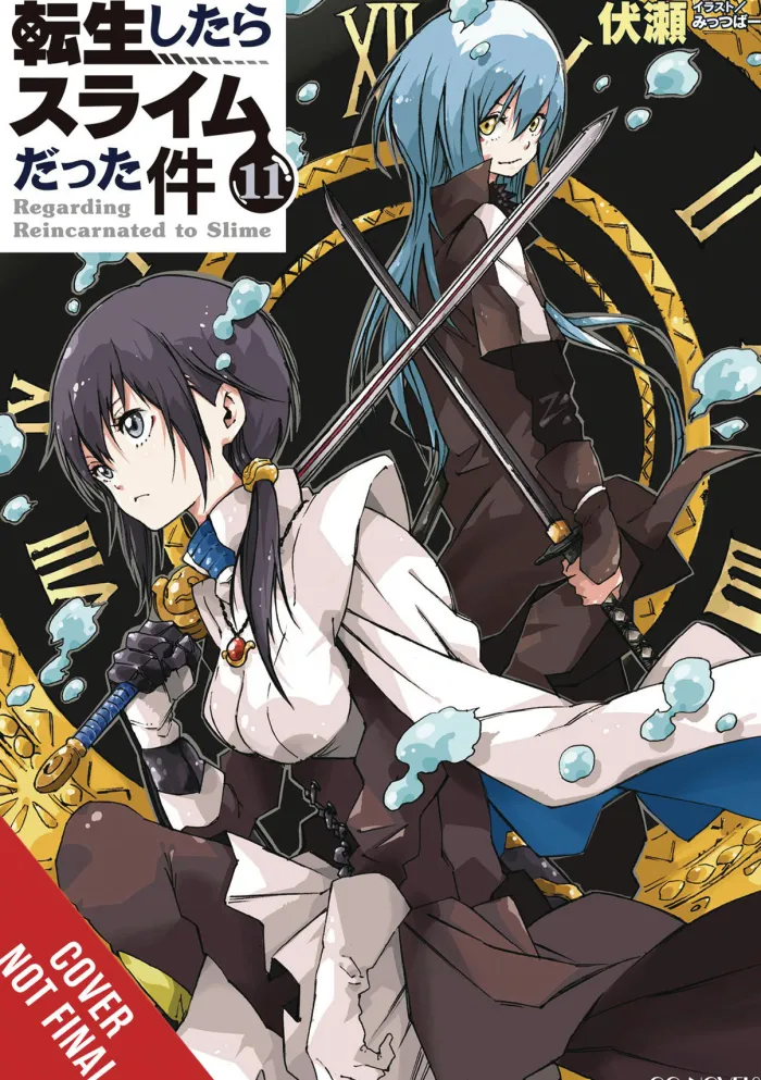 That Time I Got Reincarnated as a Slime, Vol. 11 (light novel)