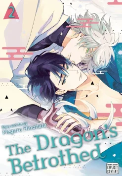 The Dragon's Betrothed, Vol. 2