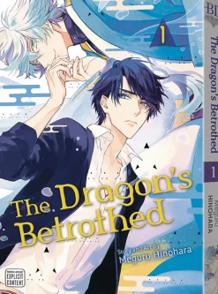 The Dragon's Betrothed, Vol. 1