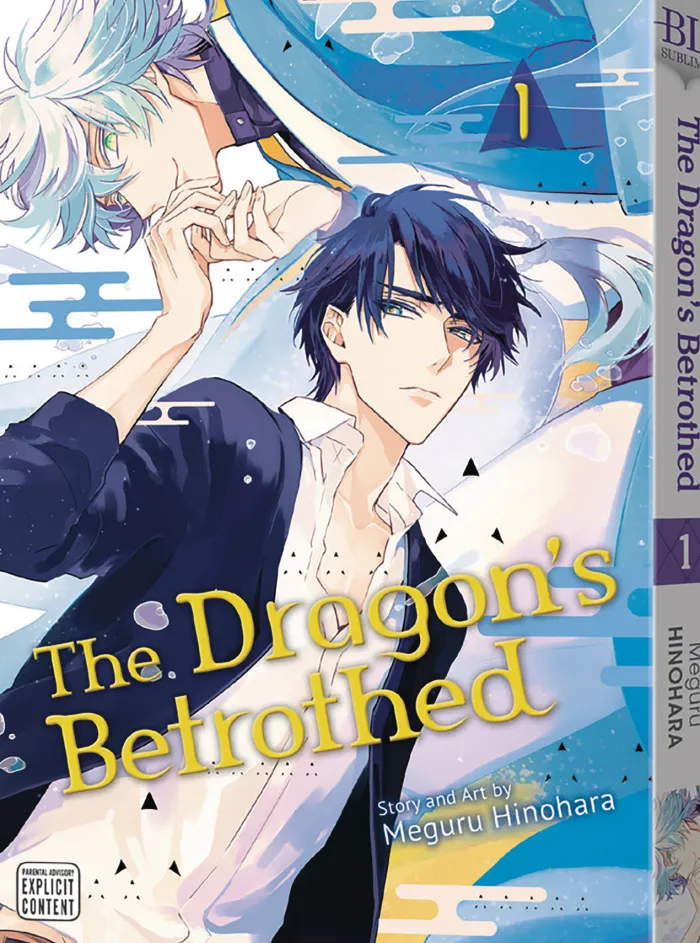 The Dragon's Betrothed, Vol. 1