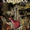 The Sandman Book Six