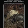 The Witcher Library Edition Volume 2