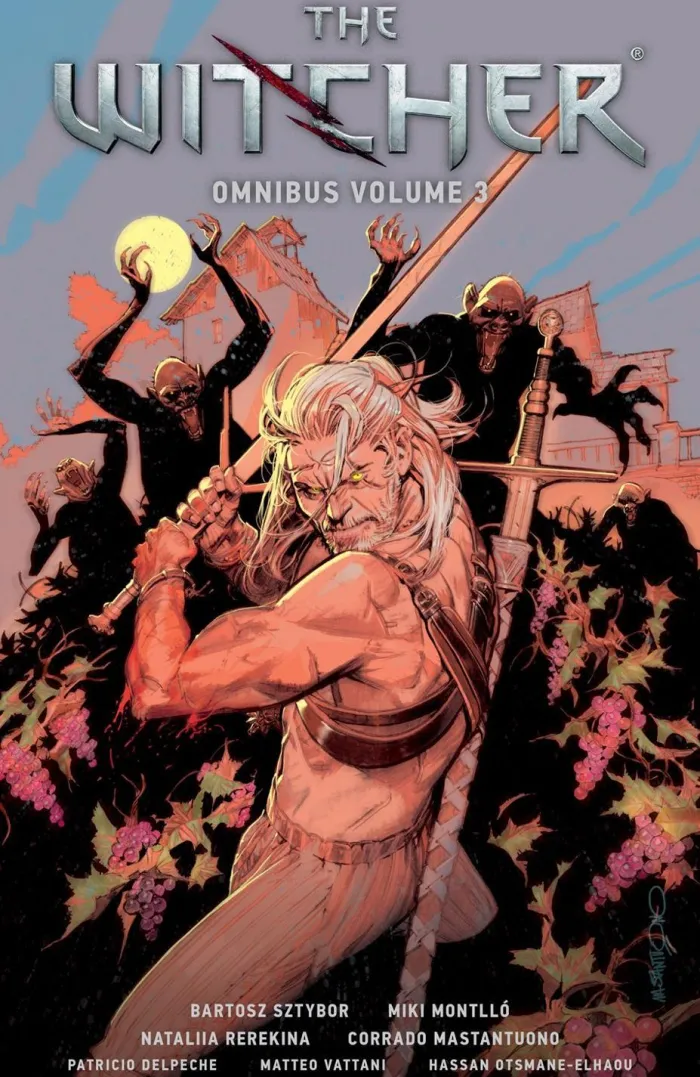 The Witcher Omnibus Volume 3