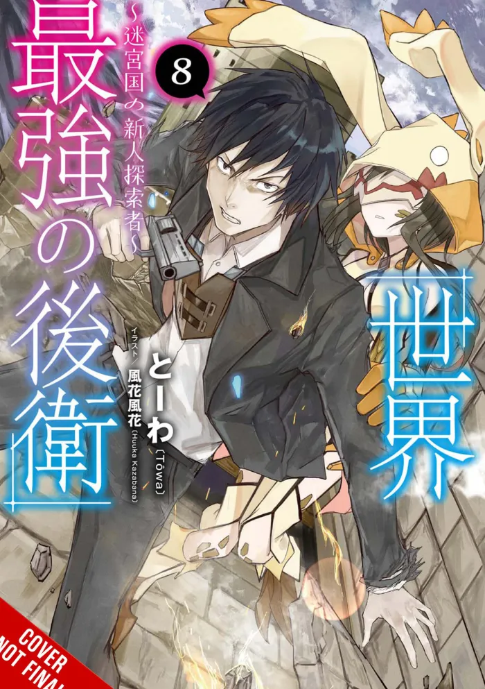 The World's Strongest Rearguard: Labyrinth Country's Novice Seeker, Vol. 8 (light novel)