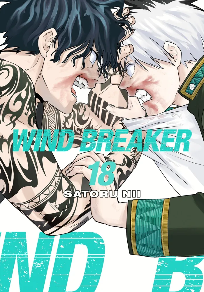 WIND BREAKER 18