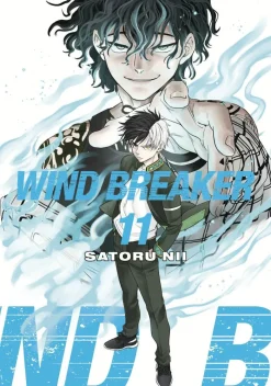 Wind Breaker vol. 11