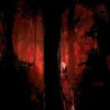 Wytches Volume 1: Pledged Edition