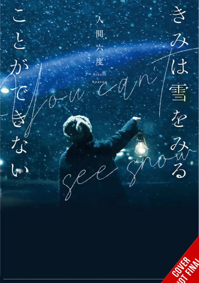 You Cant See Snow (Light Novel)